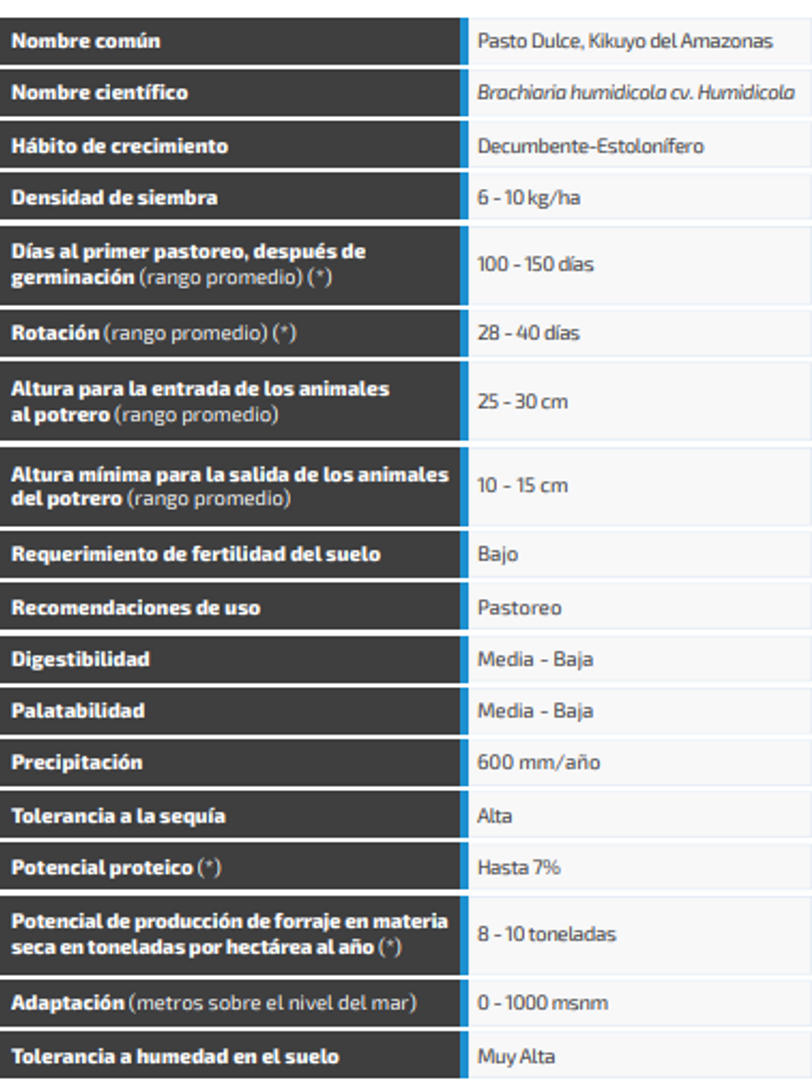  Humidicola Brachiaria x Kilo