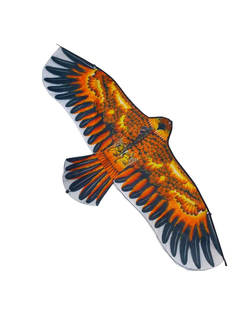 cometa águila 