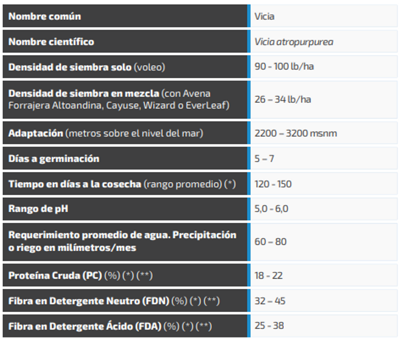 Vicia Atropurpurea X Kilo