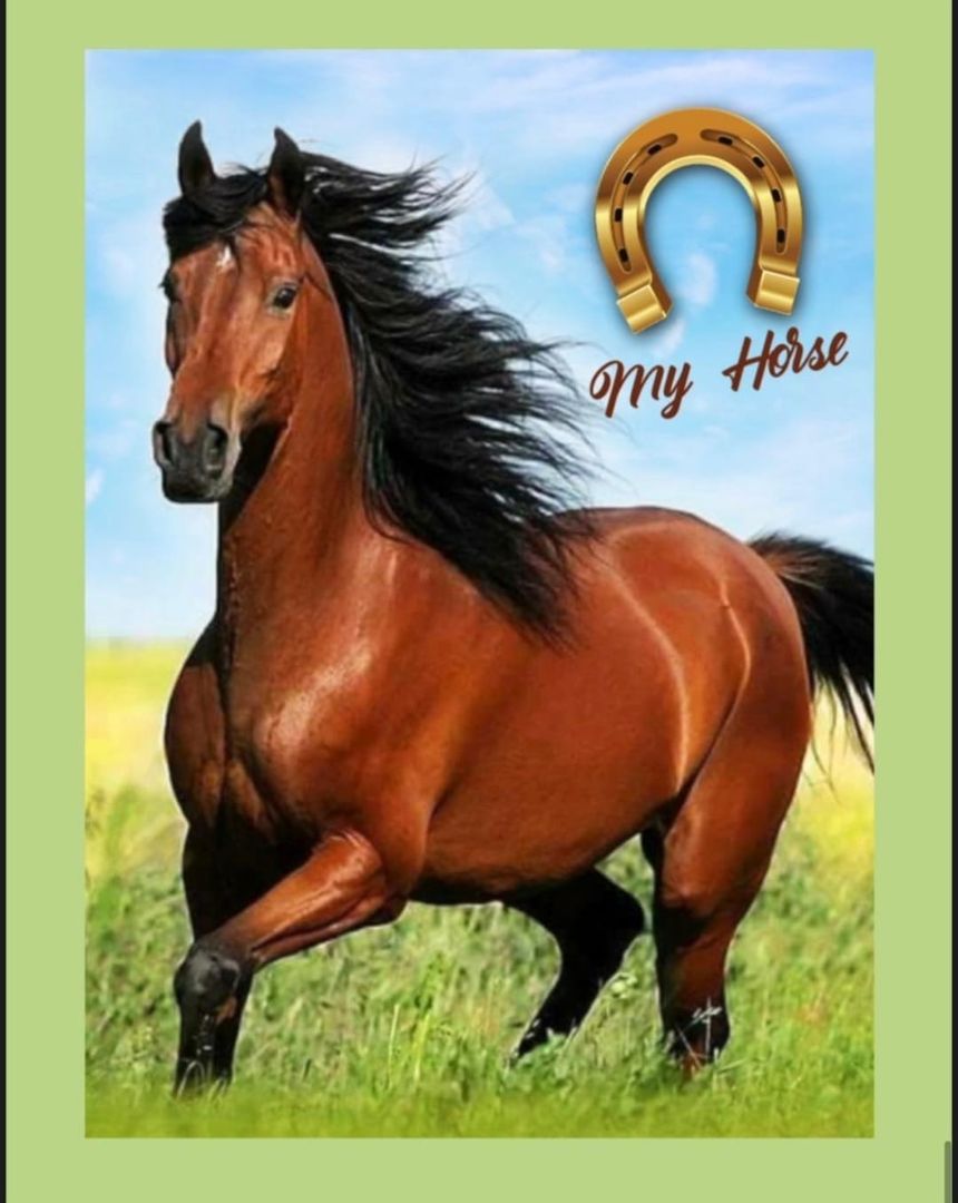 FONDO PARA FIESTA DE PAPEL 1 M X 1.40 CM 