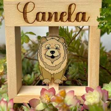 Imagen del producto Porta Pin 