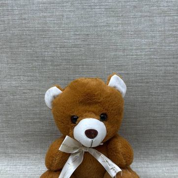 Imagen del producto OSO TE QUIERO 20CM 