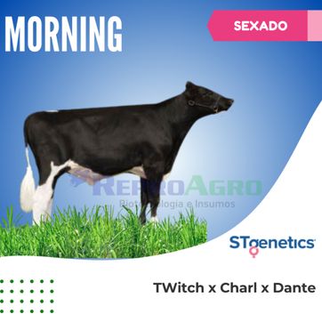 MORNING SEXADO - imagen 1