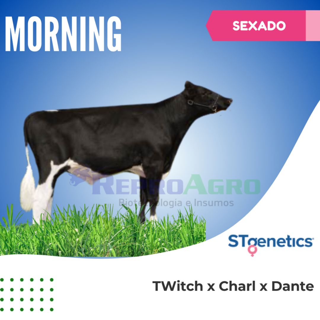 MORNING SEXADO