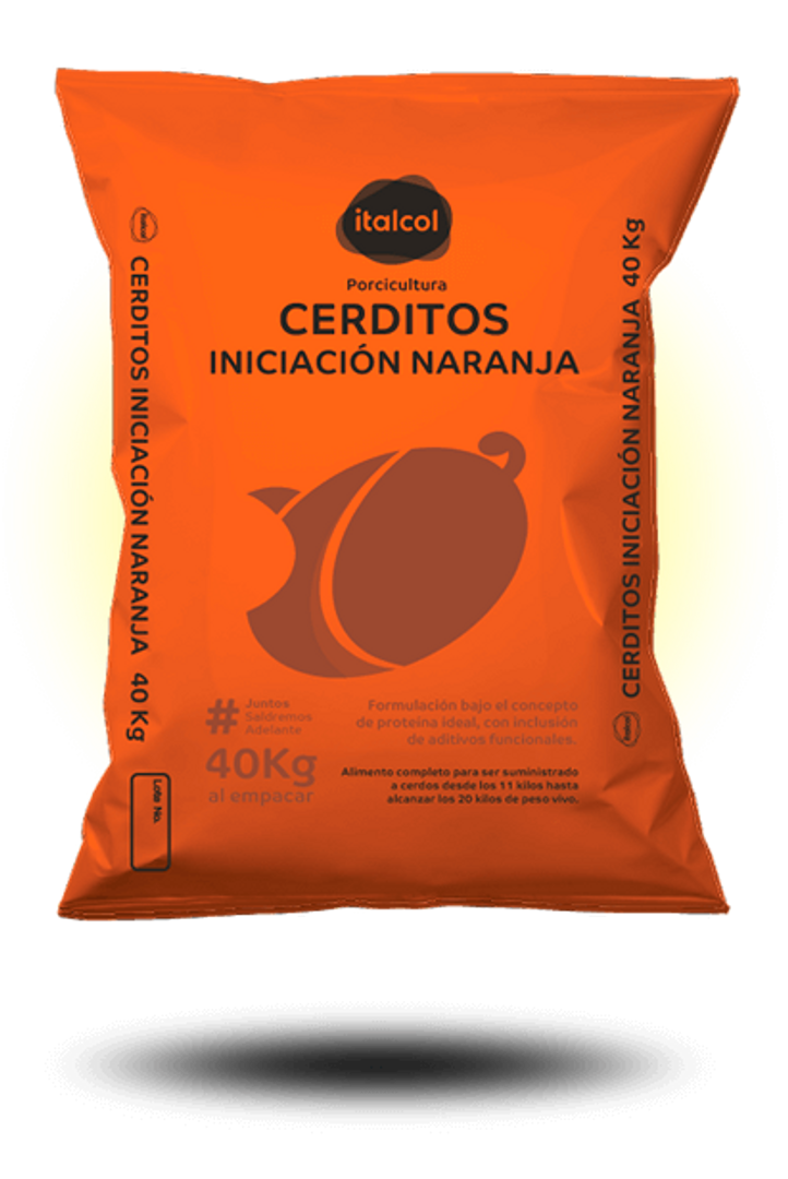 Cerditos Iniciacion naranja