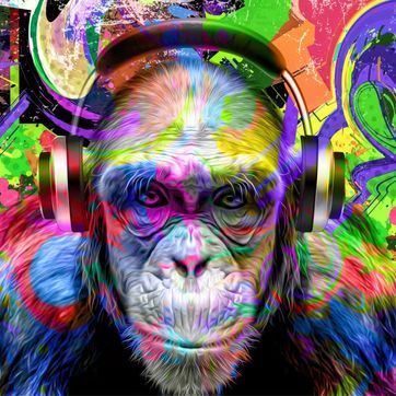 Imagen del producto ILUSTRACIONES COLORIDAS 008