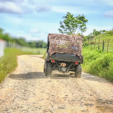 Buggies Tour - imagen 1