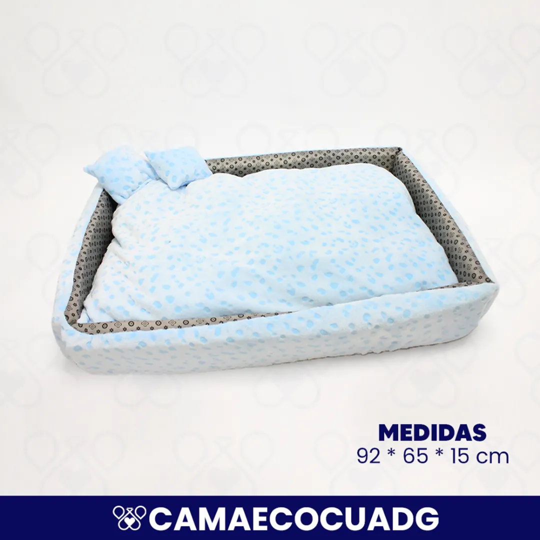 CAMAECOCUADG