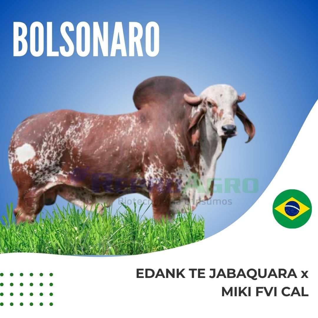 BOLSONARO