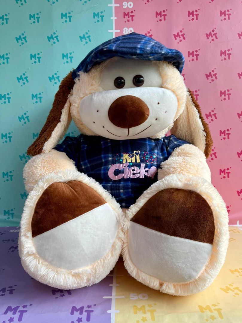 Perro gorra camisa CRL-90
