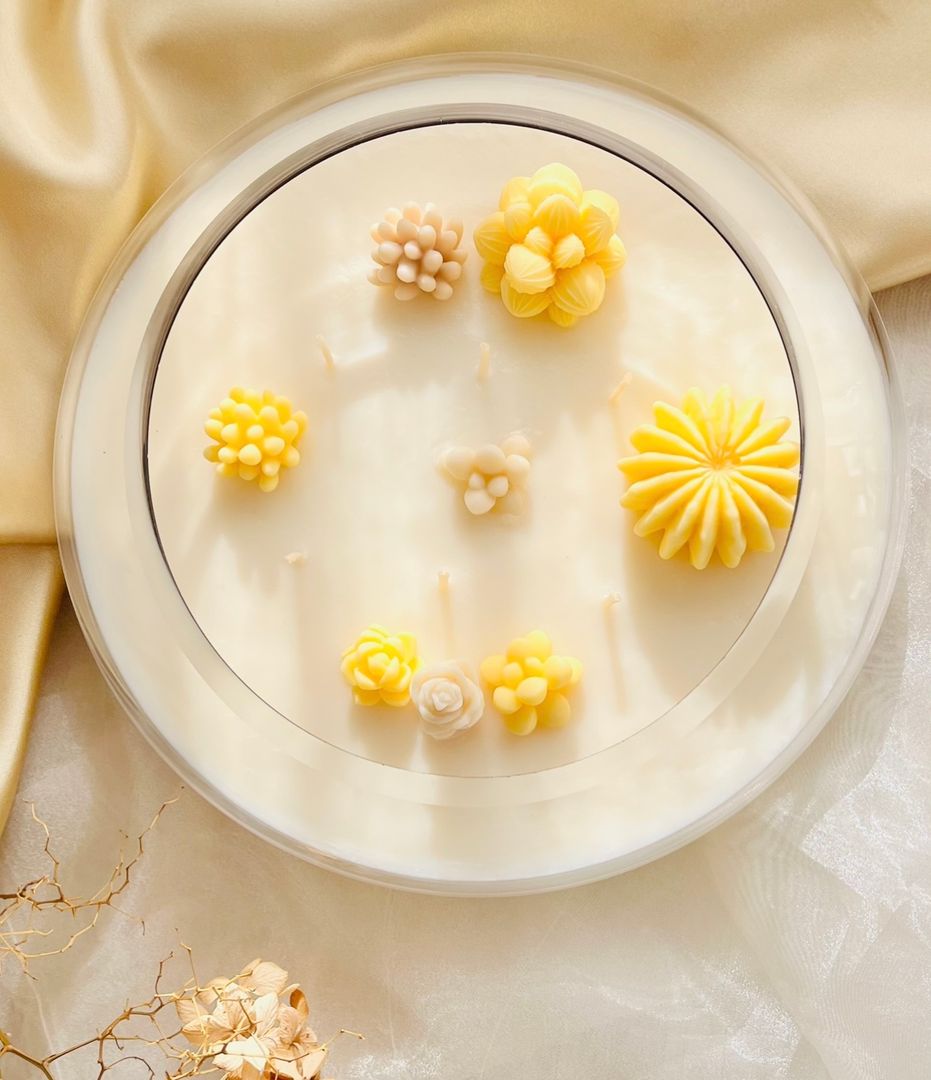 Vela November VeNDIDA