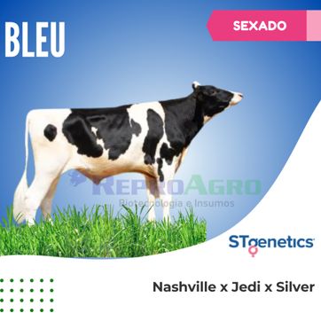 BLEU SEXADO - imagen 1