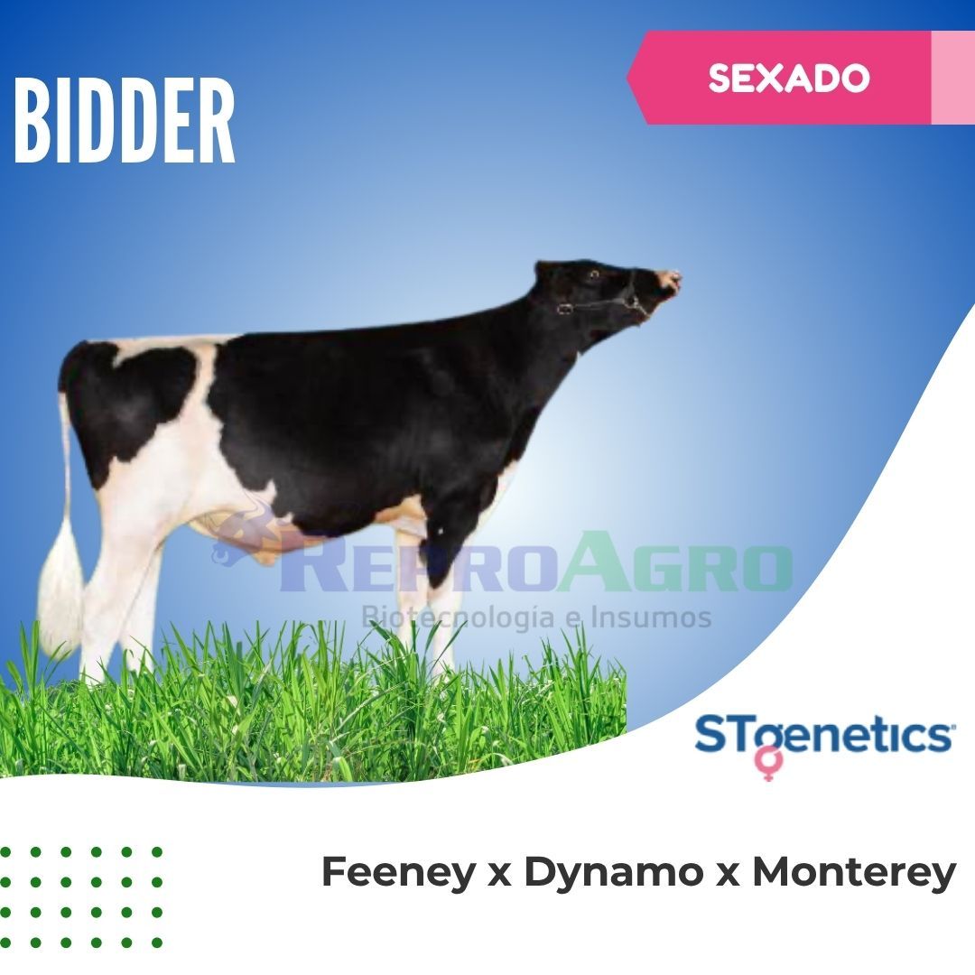 BIDDER SEXADO