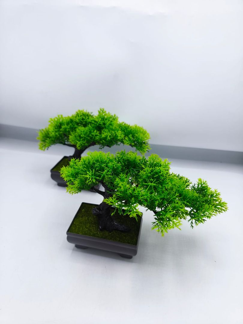 ARBOL MATERO JM007