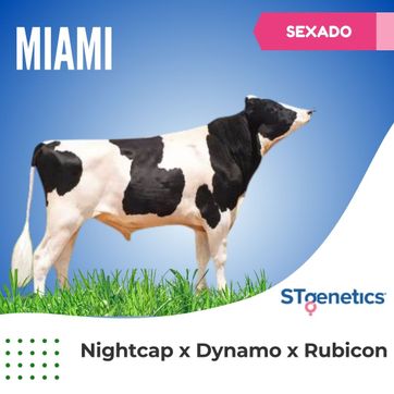 MIAMI SEXADO - imagen 1
