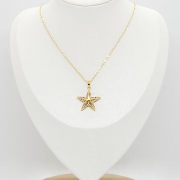 Imagen del producto COLLAR ESTRELLA RODINADO