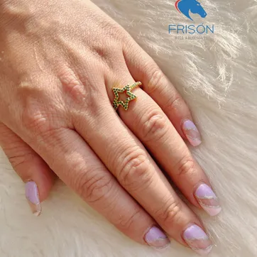 Imagen del producto Anillo 