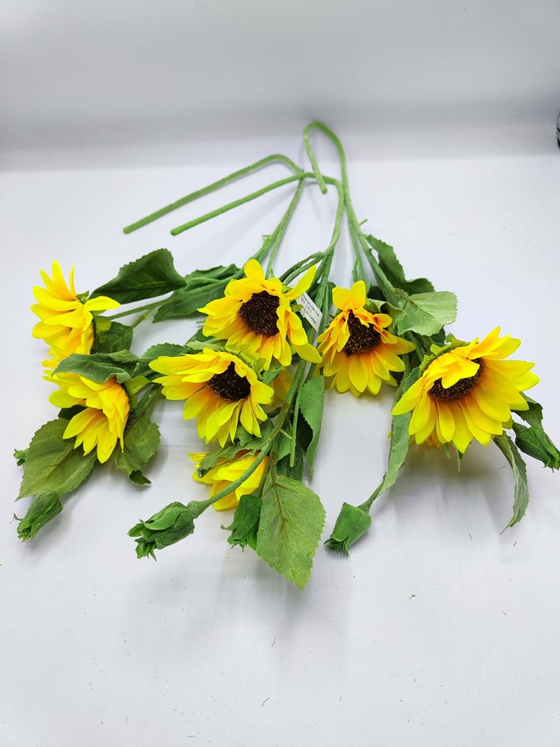 GIRASOL TALLO LARGO X 3 (NB538)