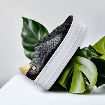 Back in Black - imagen 1