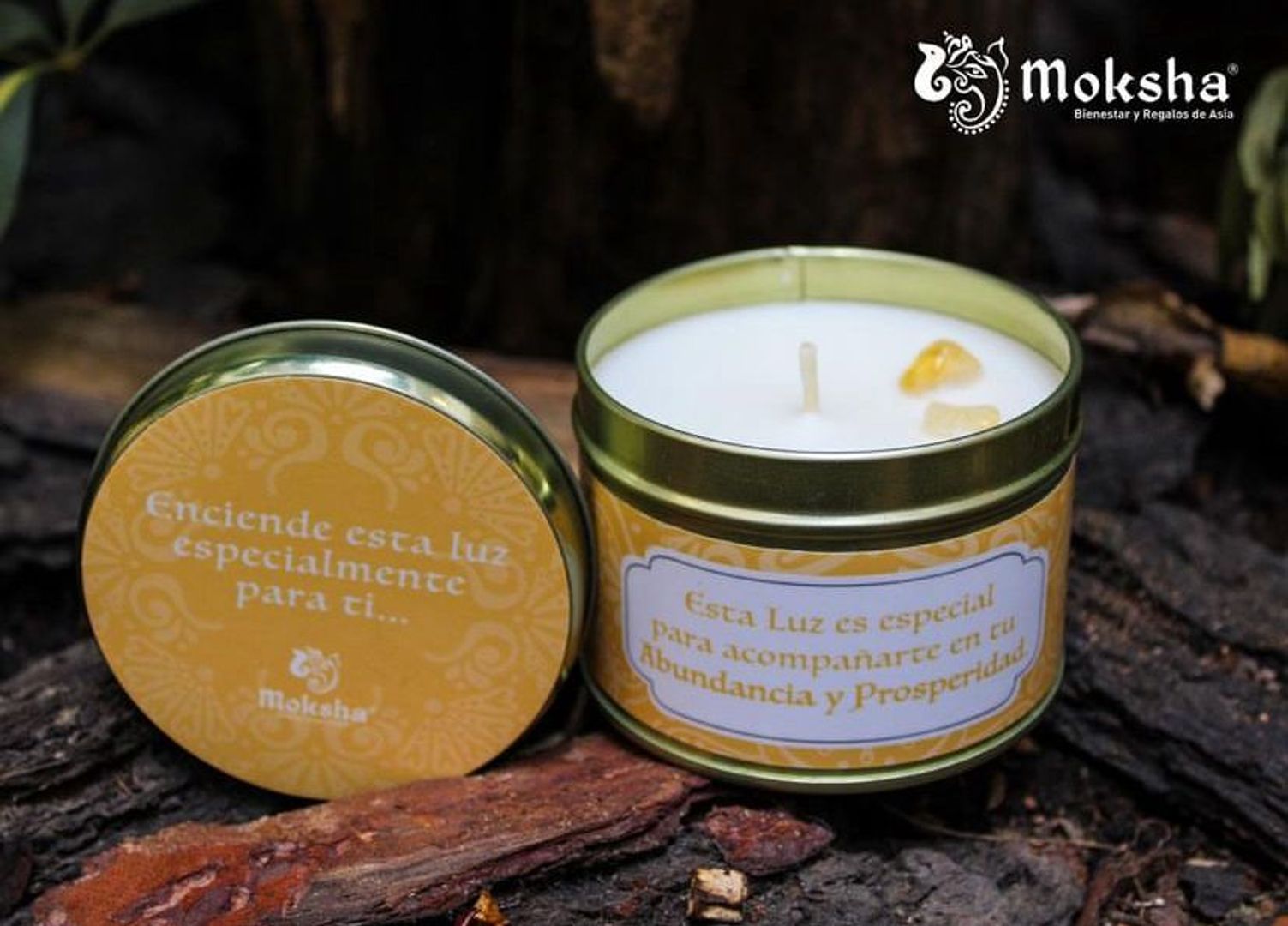 Prosperidad y Abundancia 