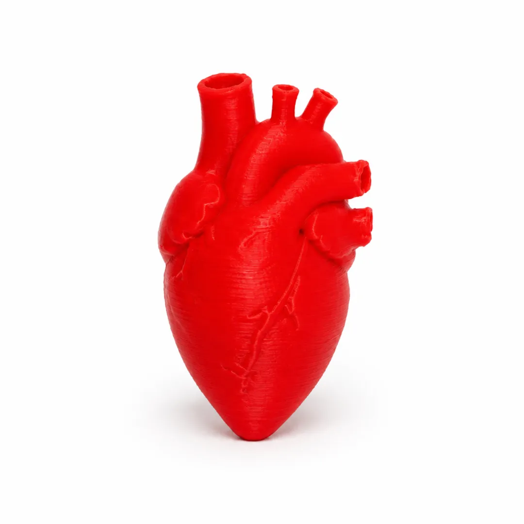 Dije Corazon Anatomico Rojo
