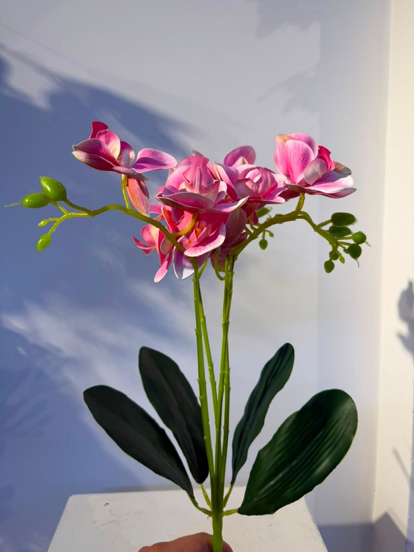 MATICA DE ORQUIDEA LATEX FUCSIA