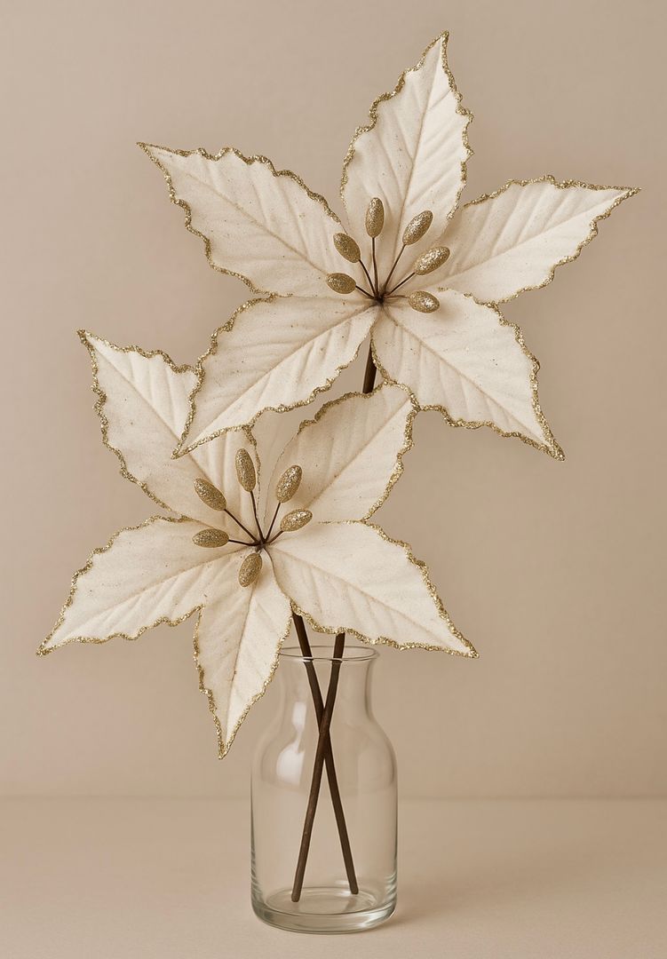 Estrella Federal Blanca 