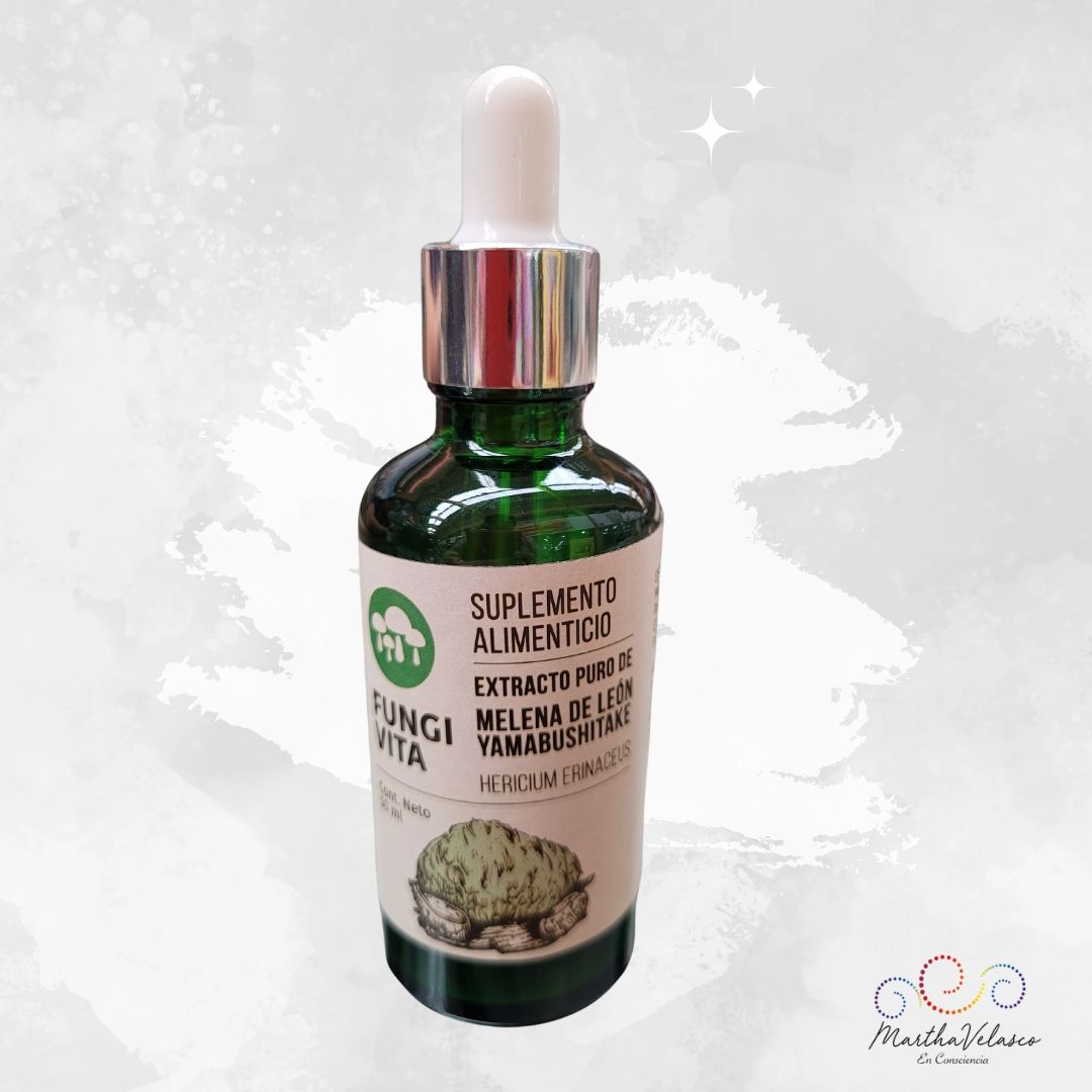 Hongo Melena de león 