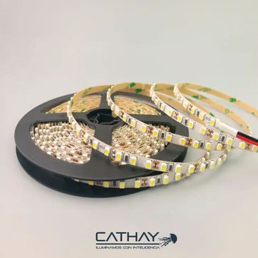 CINTA LED 2110 4MM 6W/MT 240 LED - imagen 1