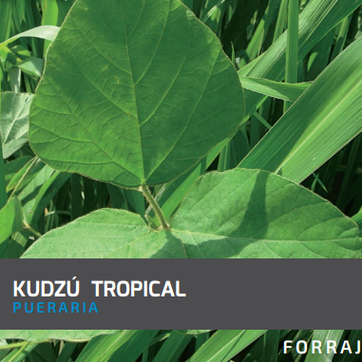 Kudzú Tropical x Kg - imagen 1
