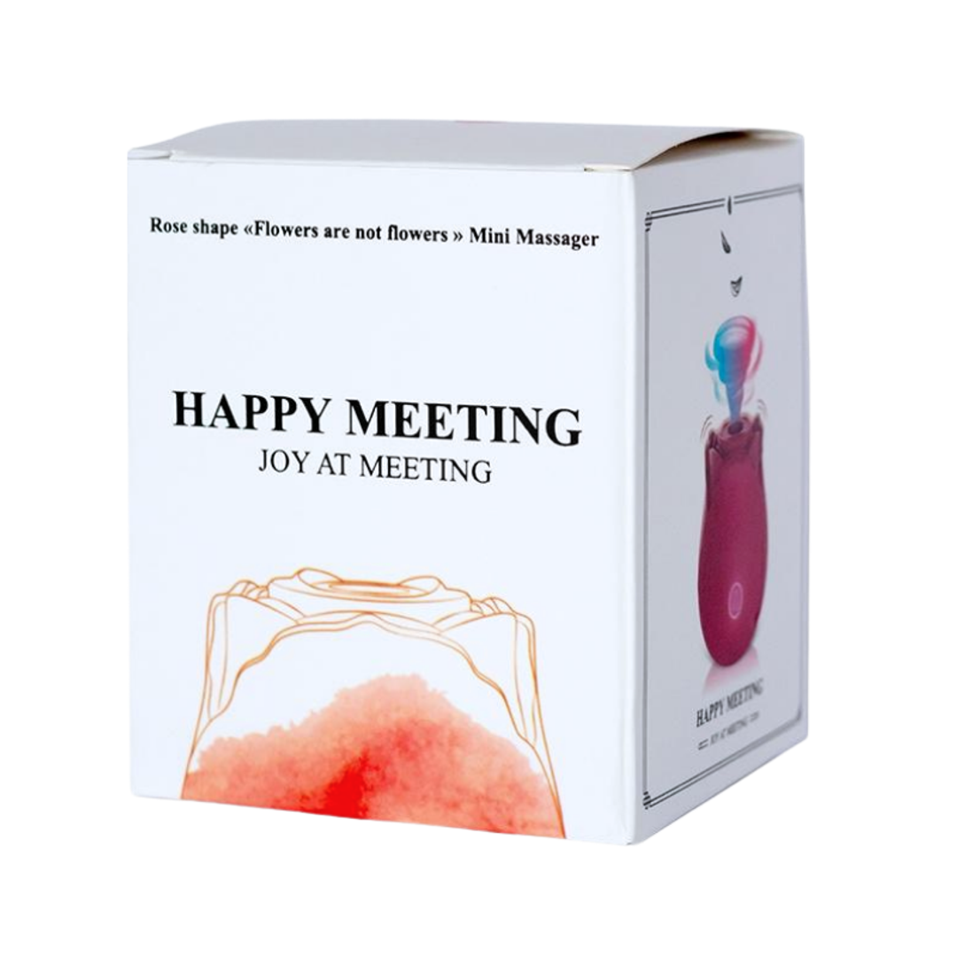 SUCCIONADOR EN ROSA /SKR01/ 352026000031847-9