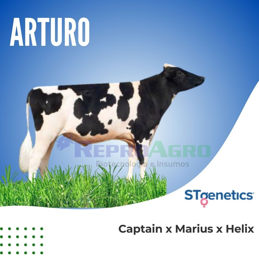 ARTURO
