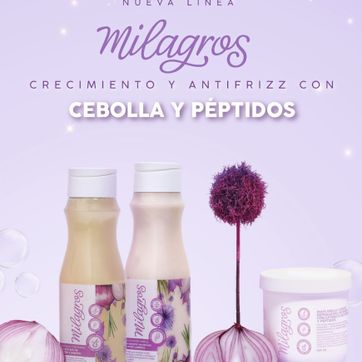 Imagen del producto Kit cebolla