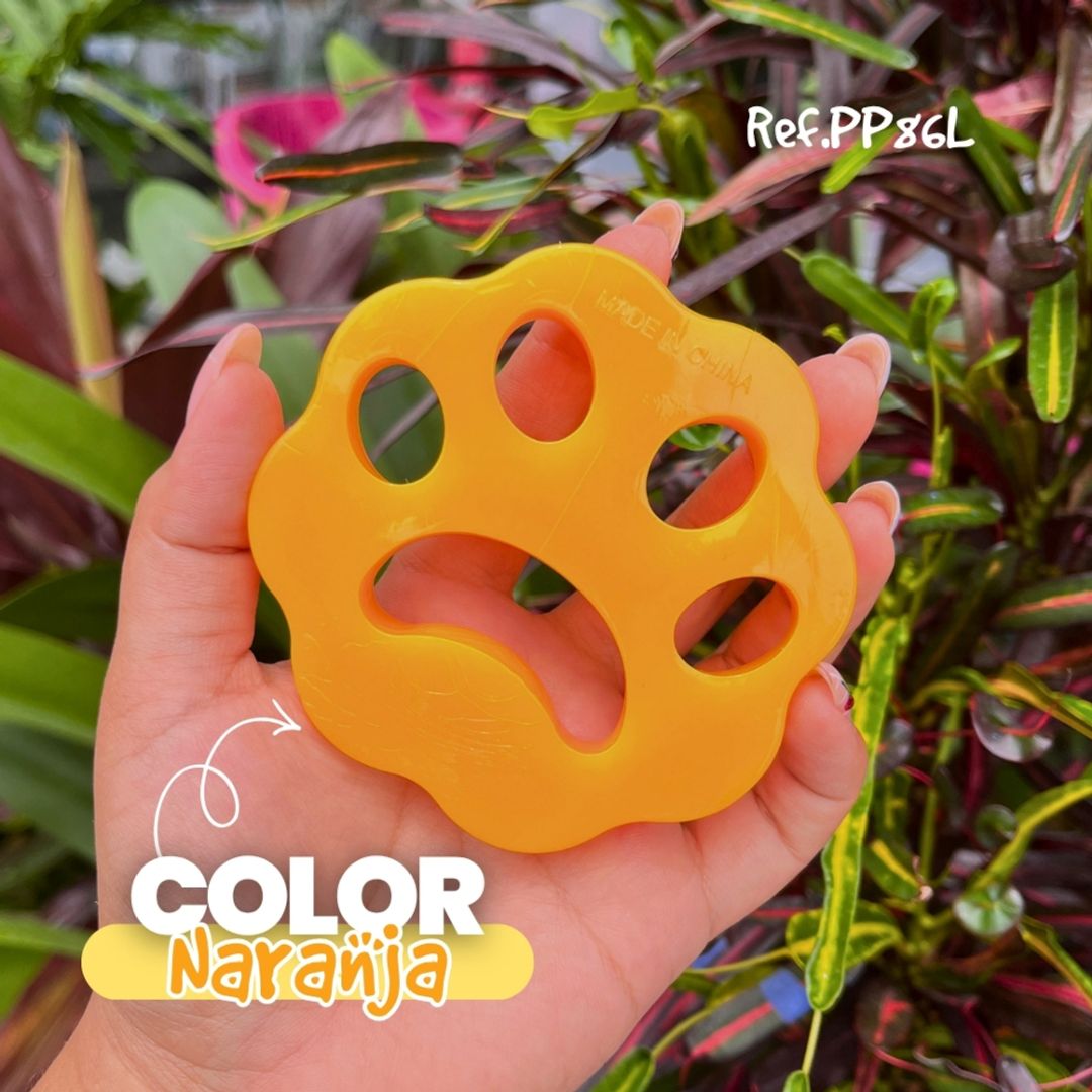 PP86L