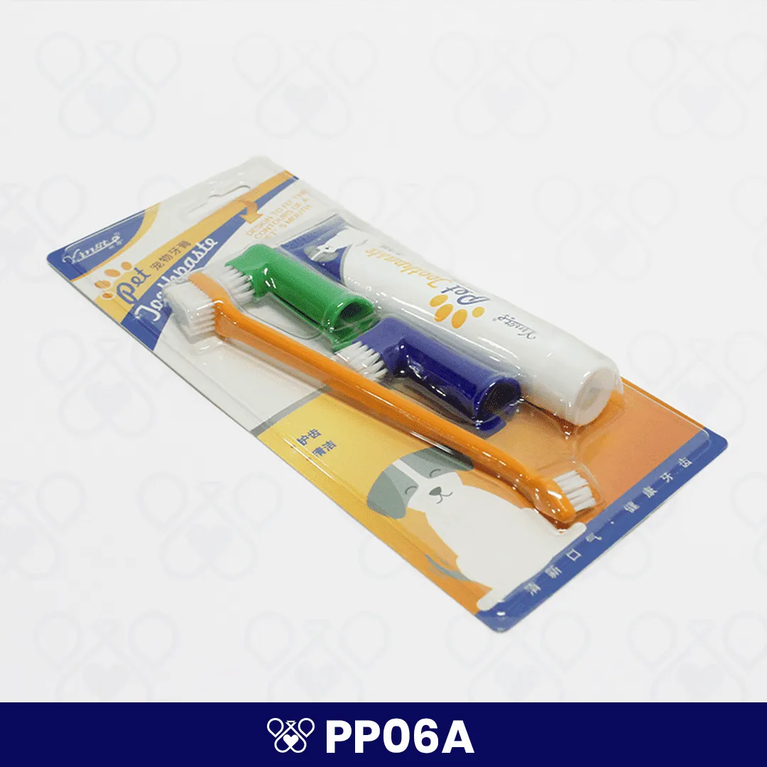 PP06A