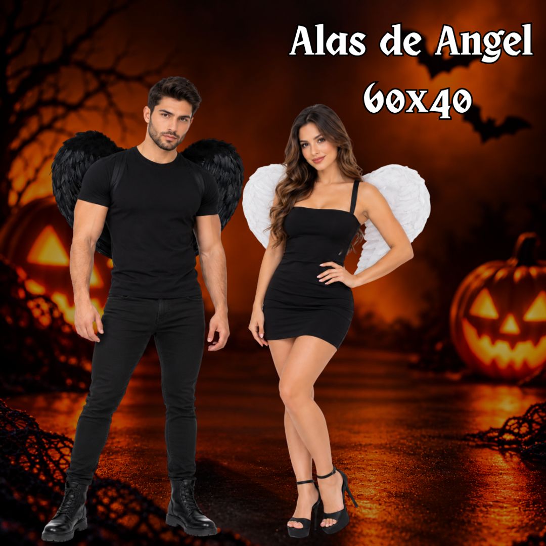 Alas Angel 60x40