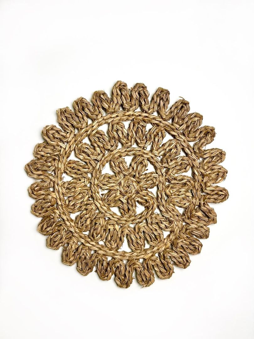 PLATO BASE - ALGAS MARINAS