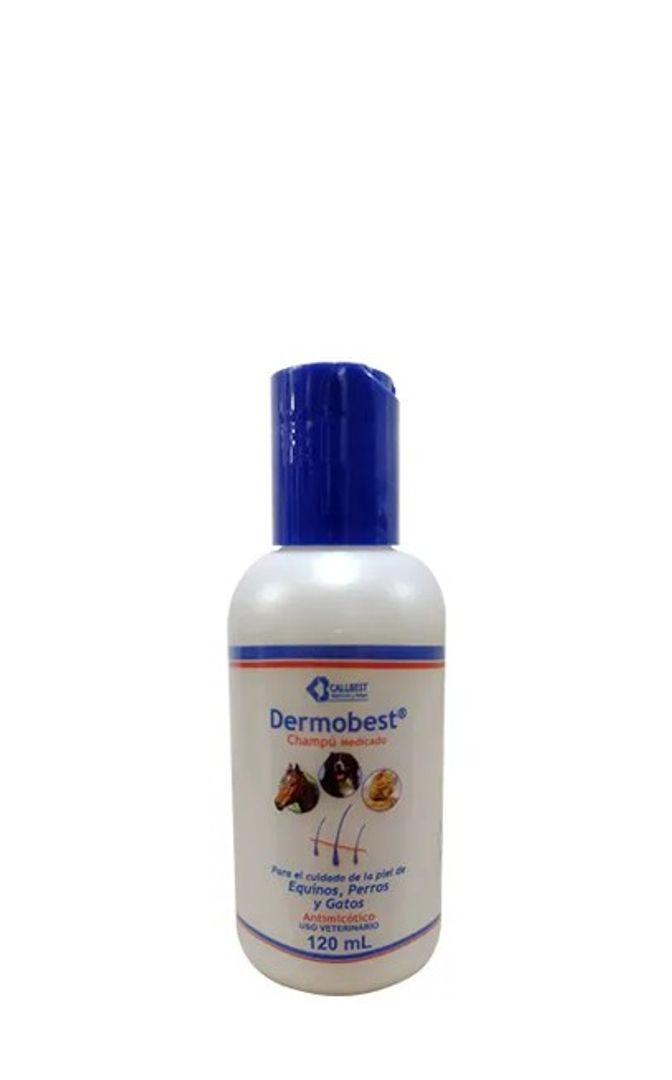 CHAMPU MEDICADO DERMOBEST 120 ml