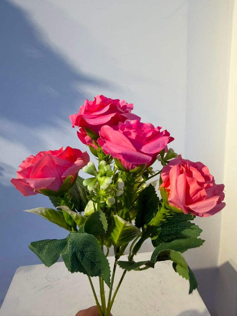 MINI ROSA X 5 FUCSIA CON SALMON
