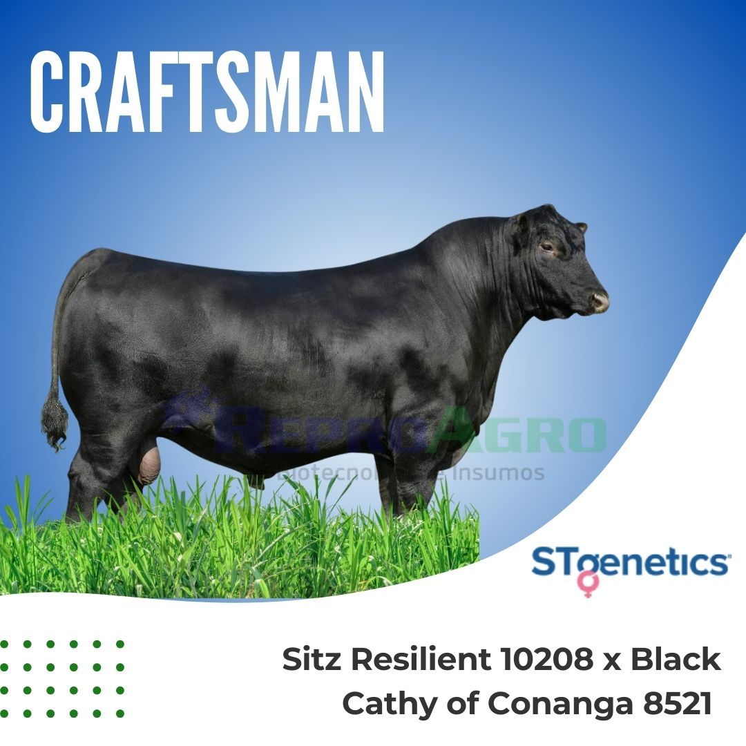 CRAFTSMAN