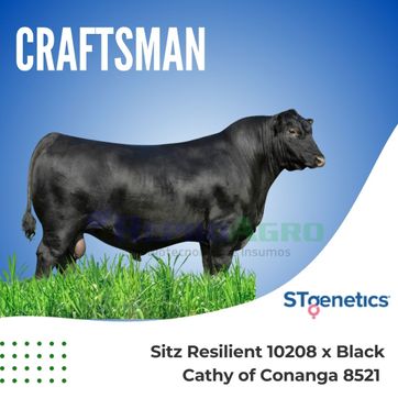 CRAFTSMAN - imagen 1