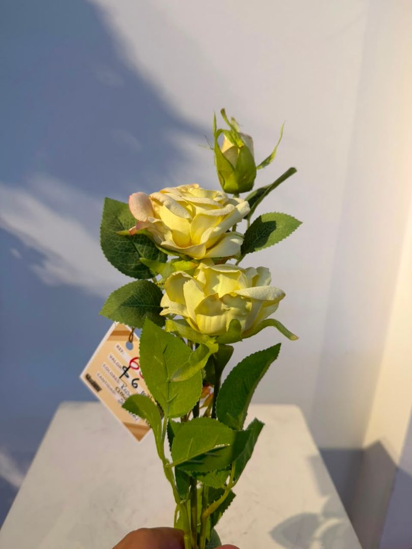VARA DE ROSA X 2 CON BOTON AMARILLA