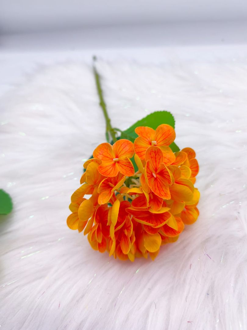 HORTENCIA INDIVIDUAL TG 663