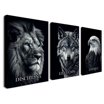 Imagen del producto DIVERSO  008