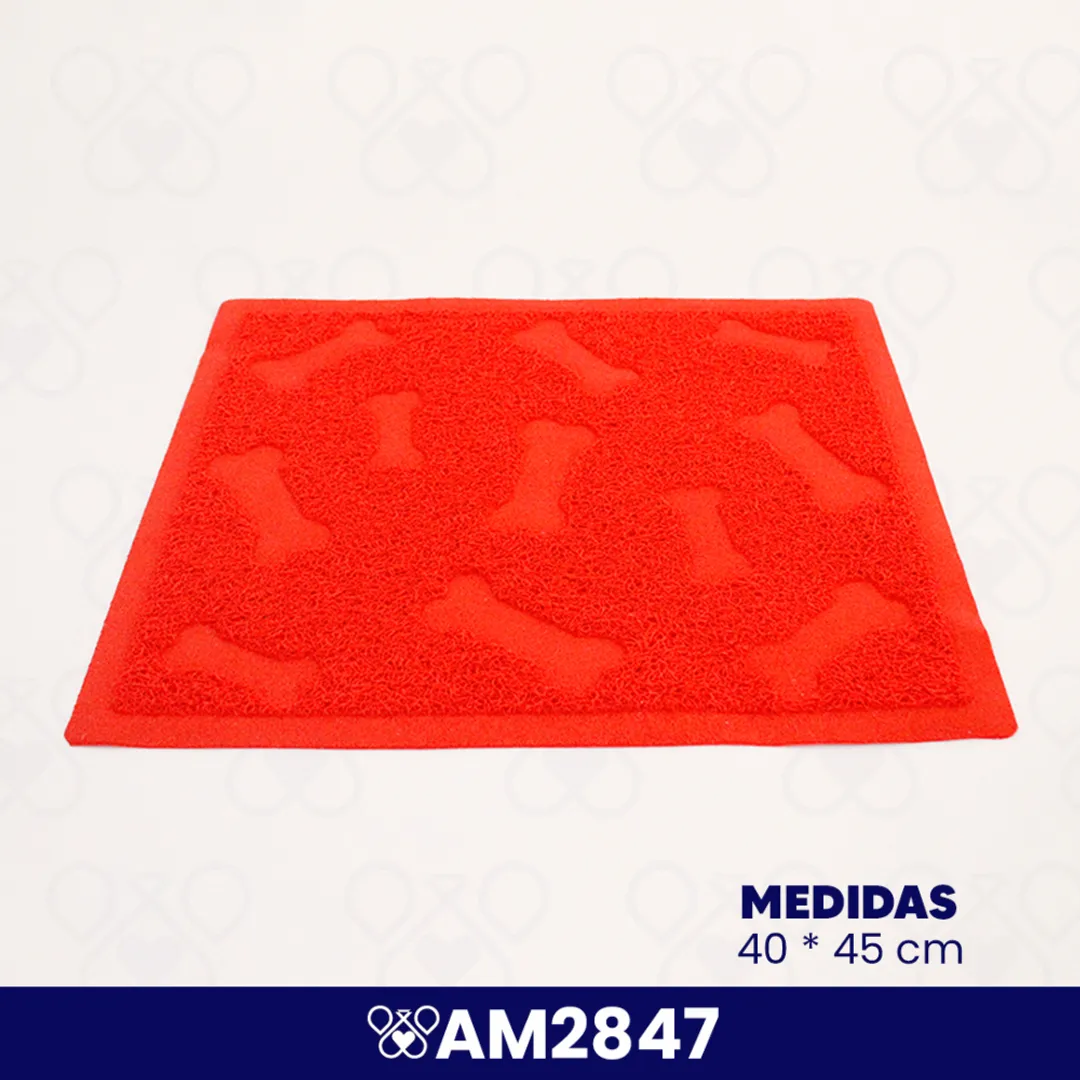 AM2847