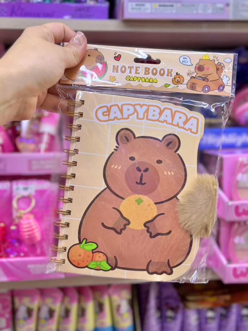 LIBRETA ARGOLLADA CAPYBARA Y SANRIO