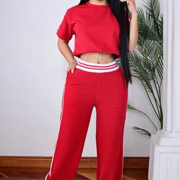 SET SAFARI - imagen 1