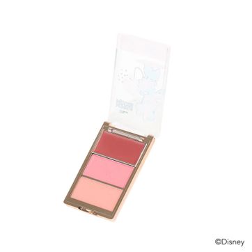 Paleta de rubor - imagen 1