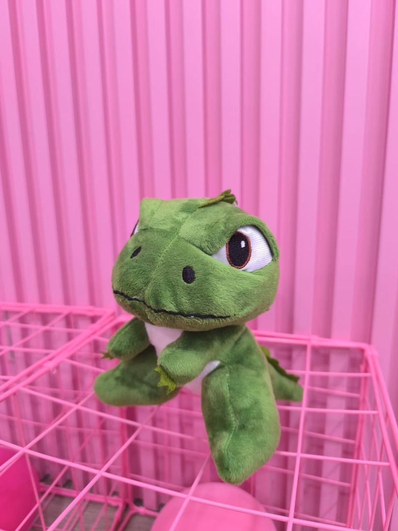 PASCAL