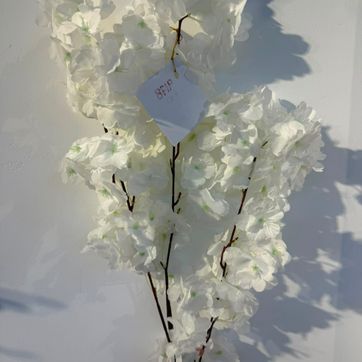 Imagen del producto VARA DE CEREZO X 3 BLANCO